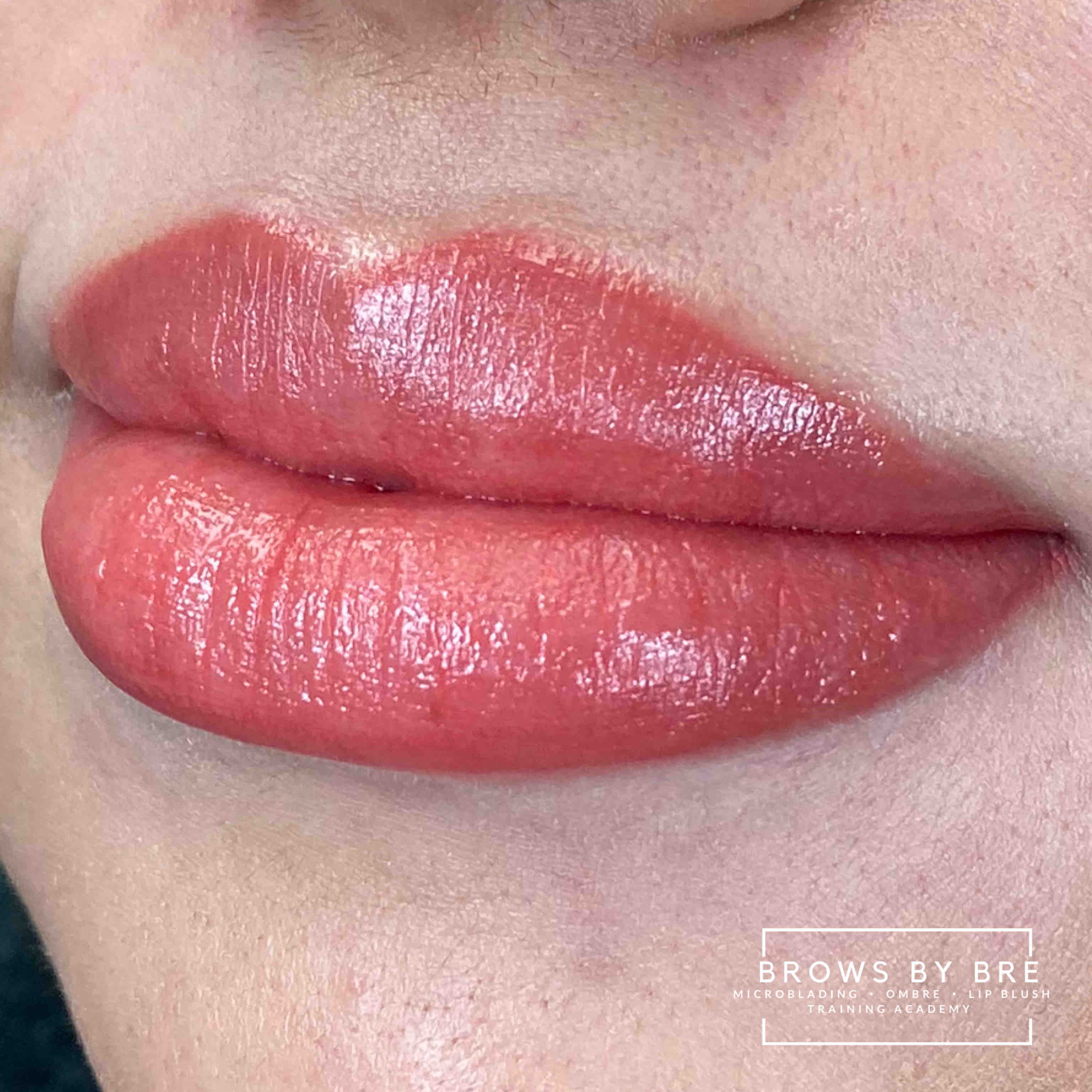 8 Week Lip Blush Touch Up