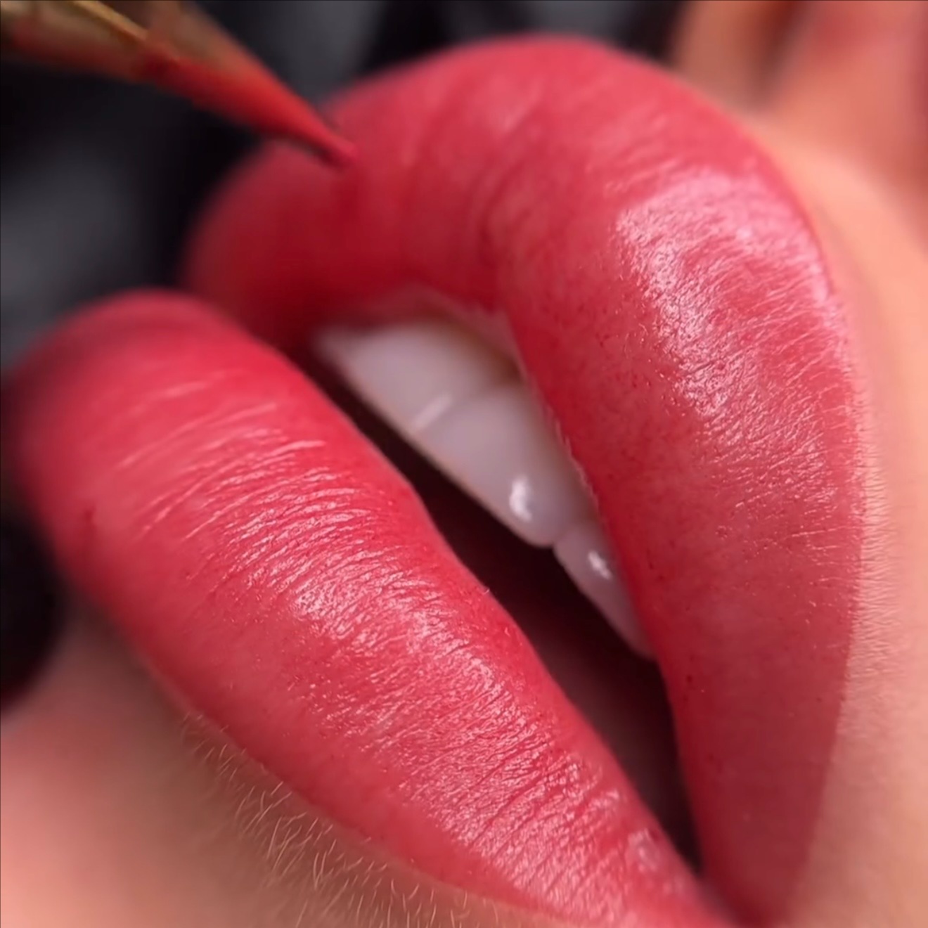 LIP BLUSH at LUYA BEAUTY LAB in Sarasota, FL
