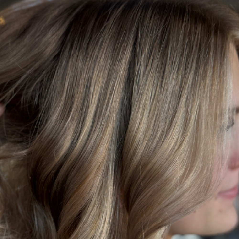 Full Head of Lowlights at ZMDesigns Hair in Tomah, WI