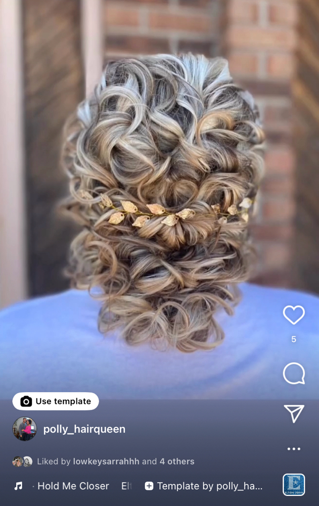 Special Occassion Up-do