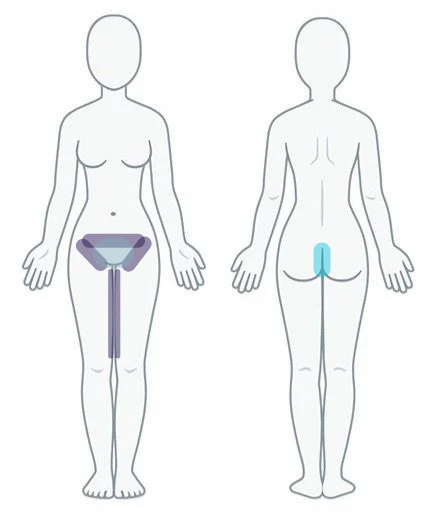 Inner Thigh + Women's Bikini Serv