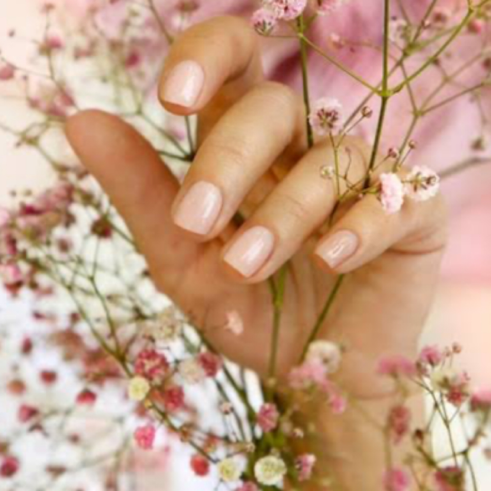 Gel/Shellac Nails+removal at NW Nails & Spa in Portland, OR