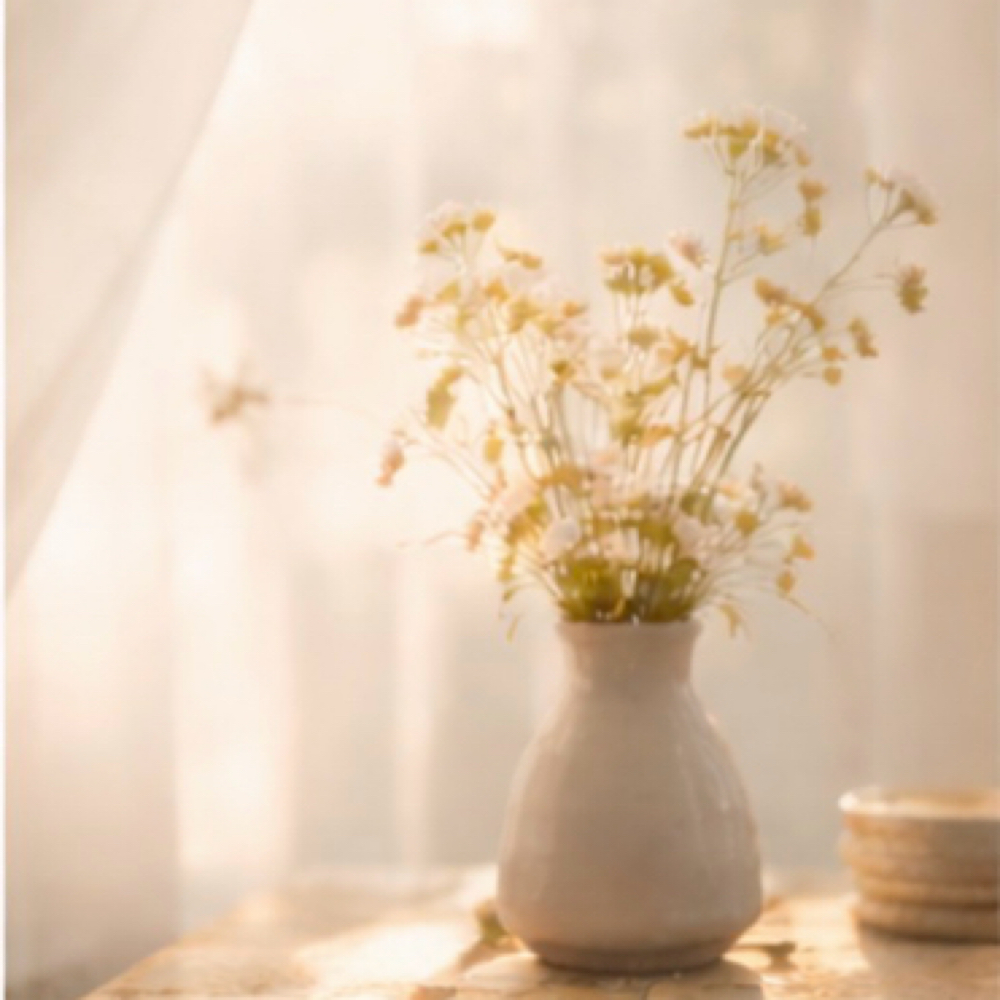 The Sunlit Drycut at Picking Daisies Holistic Hair • By Appointment only in Sandpoint, ID