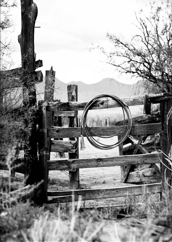 Partial Foil at Salon Idyll in Rochelle, IL