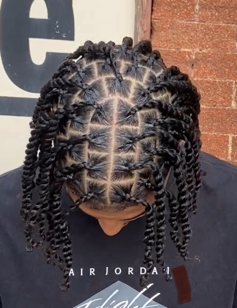 Mens Plaits/Twist