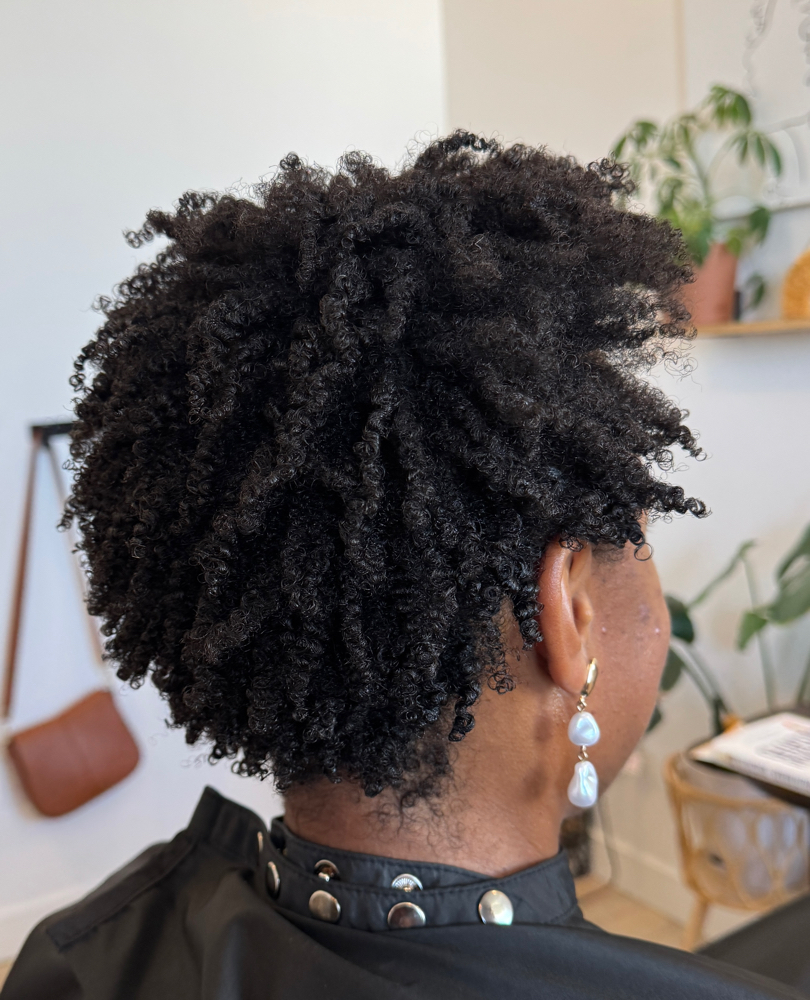 Signature Curly Cut ~ Lux Volume at BeYoutifulCCC in American Fork, UT