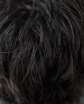 Mens Haircut at The Em Effect in fort collins, CO