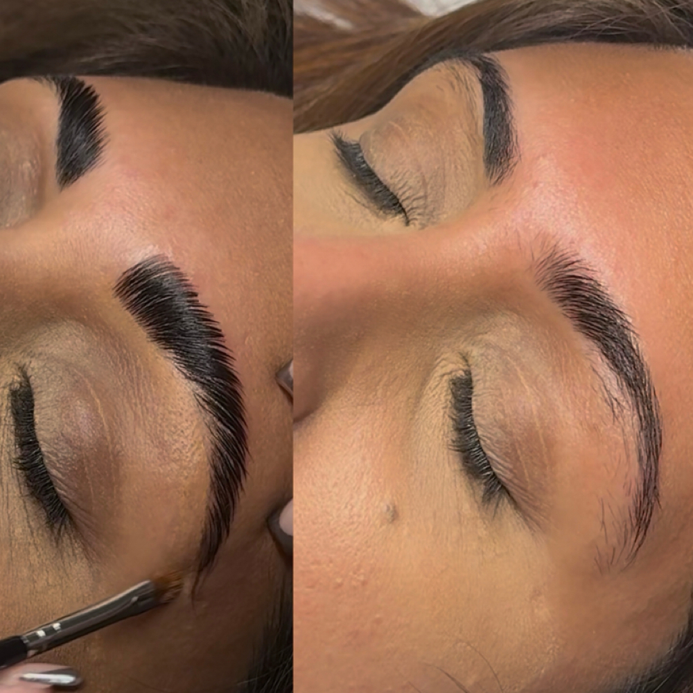 Full Brow Transformation at The Esthetics Lounge in Houston, TX