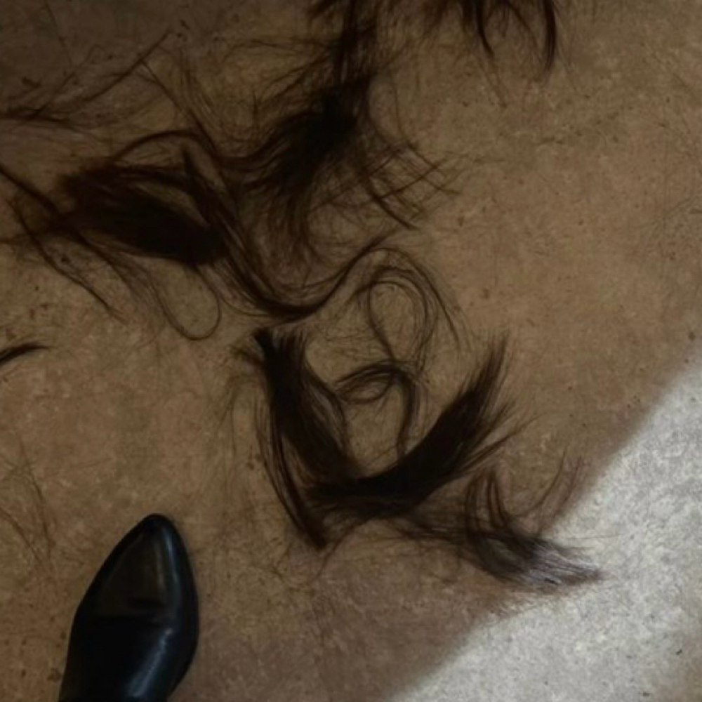 Haircut at Common Roots Hair Studio in Wichita, KS