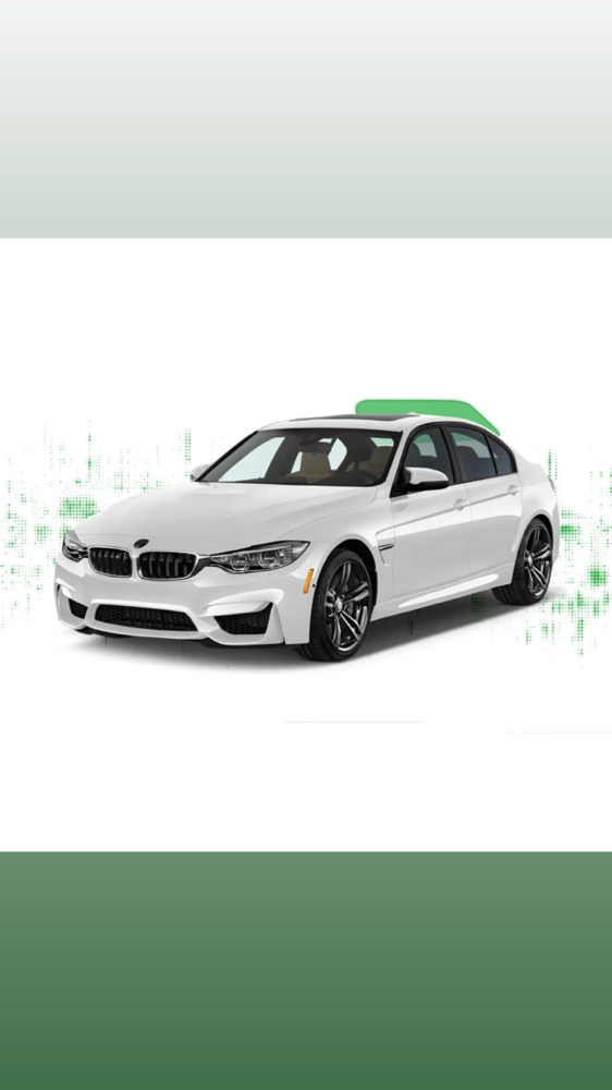 Back Rear Window Tint (only)