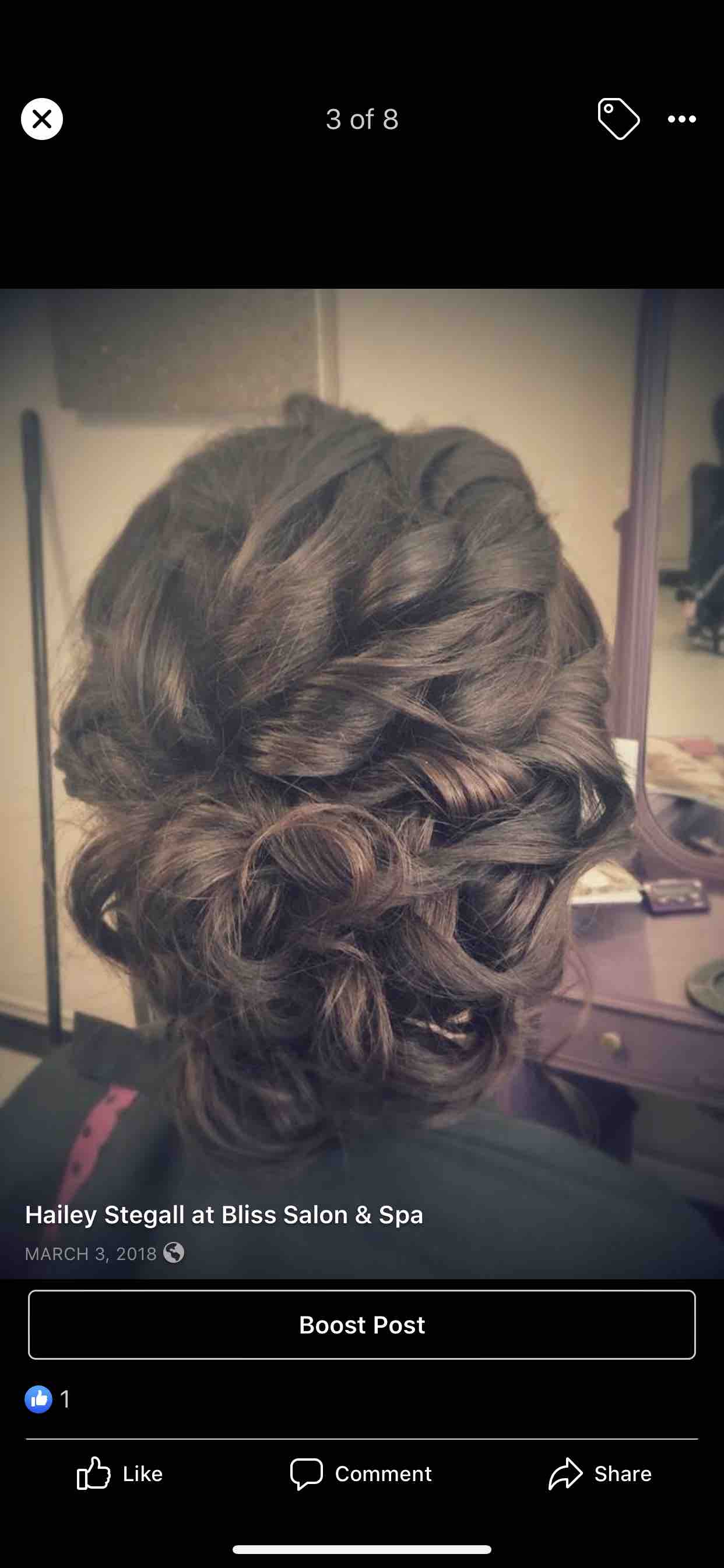 Special Occasions / Up-Dos