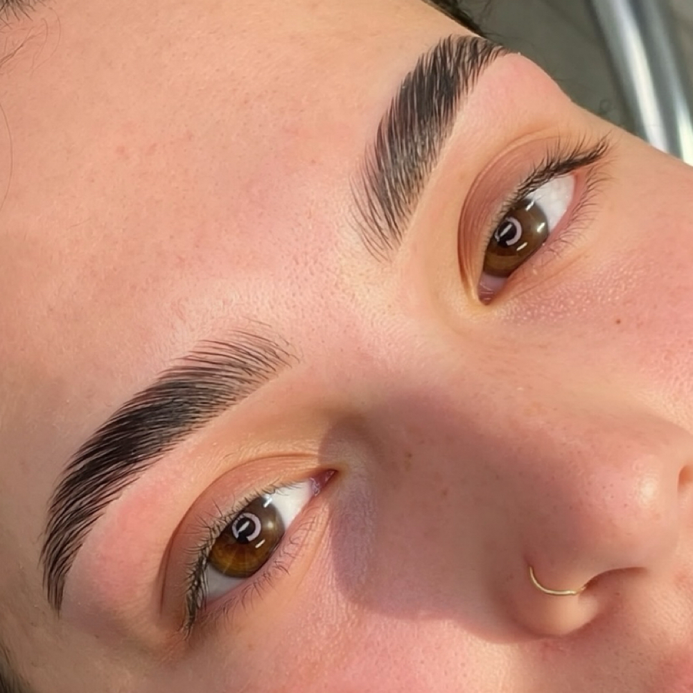 BROW LAMINATION + WAX + TINT at Eye Blink Beautifully in Winter Park, FL