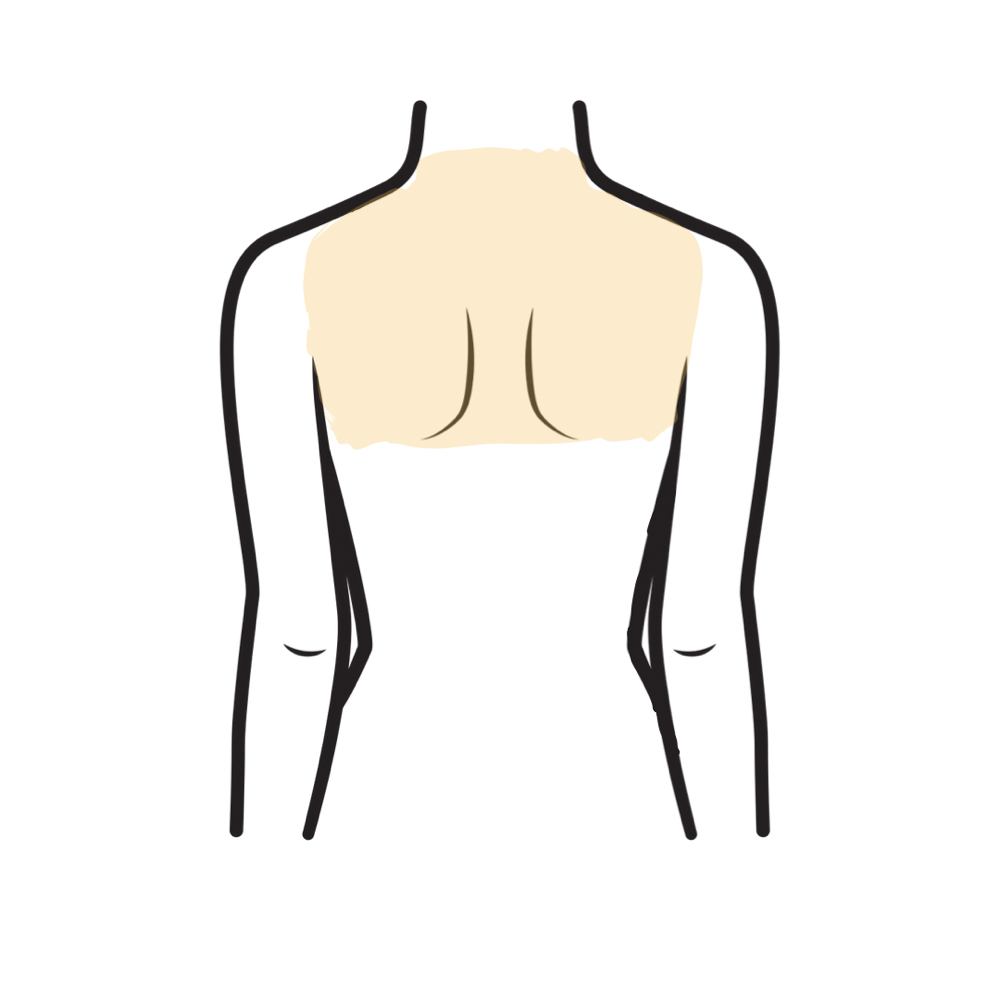 Back Upper