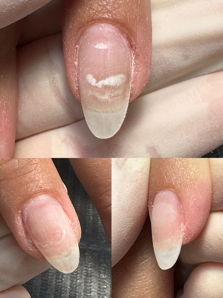 Step 2: Hard Gel/Gelx Base 建构/延长