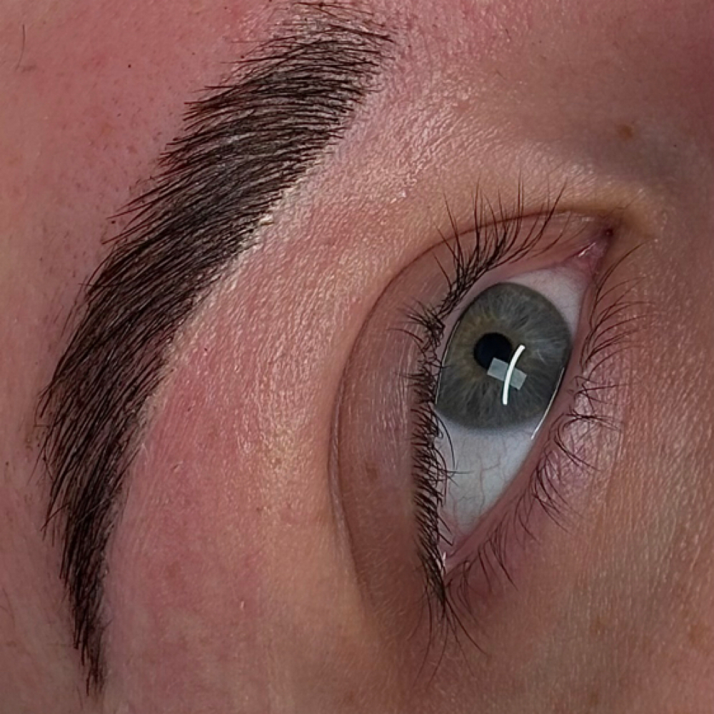 Brow Lamination + Tint or Stain at Skin by Claudia in Billings, MT