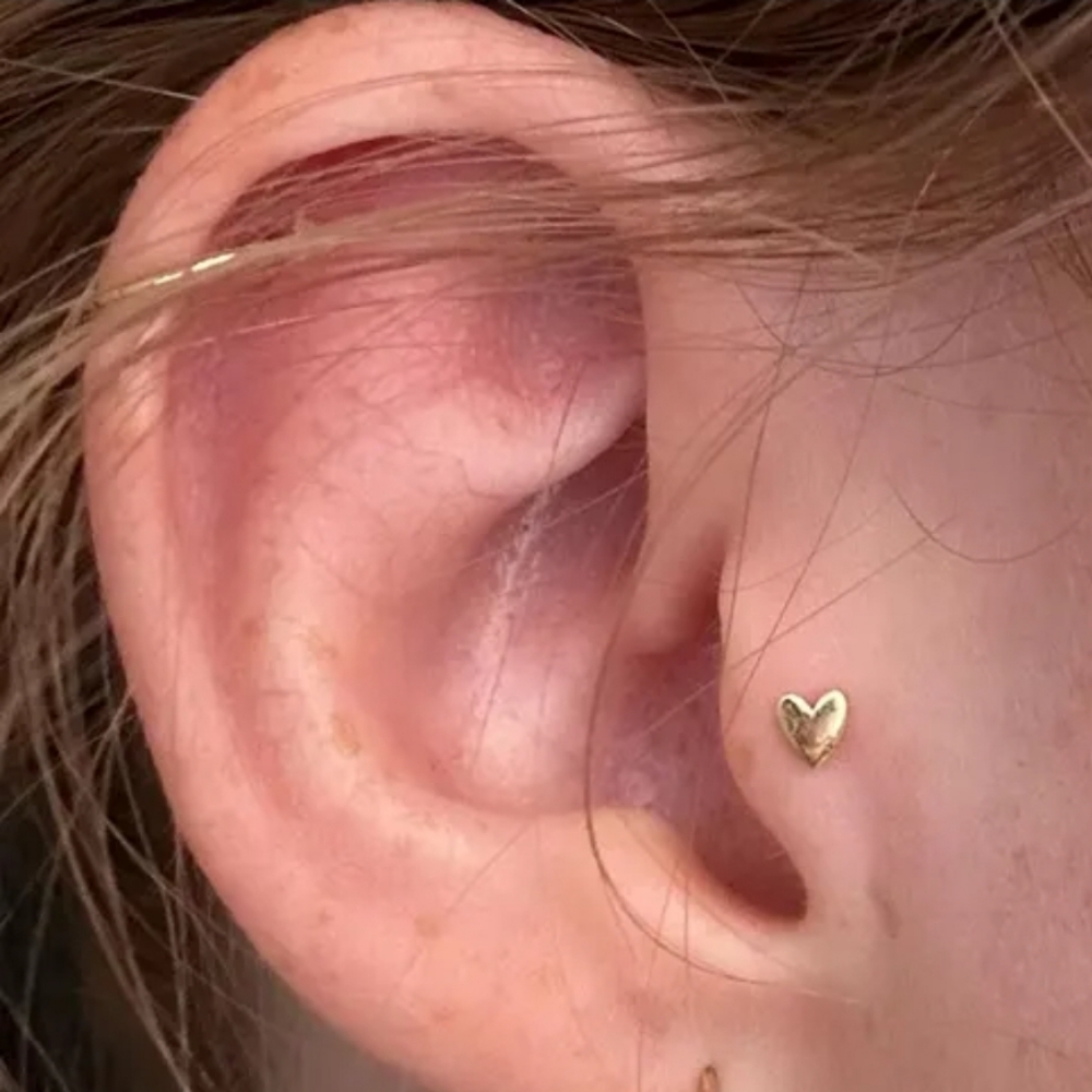 Tragus Piercing at Gilded Needle in BRENTWOOD, CA