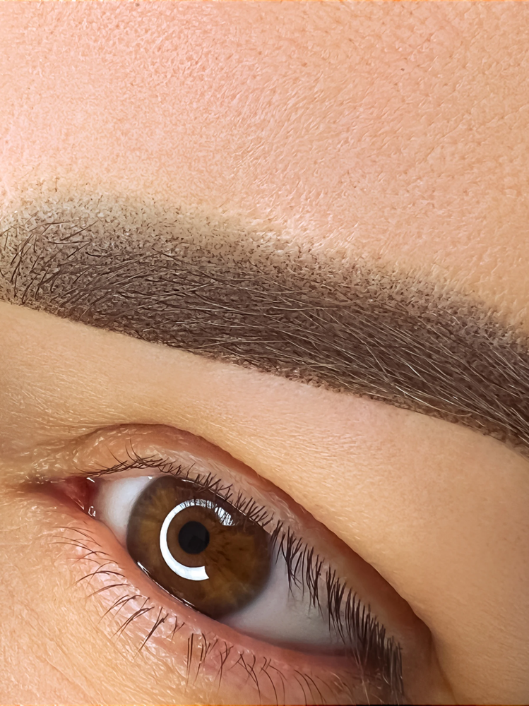 Ombre Powder Brows