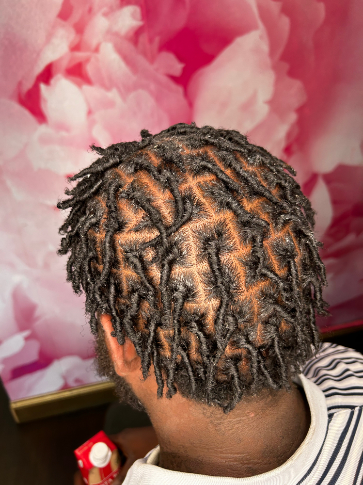 Locs Services for Kids/Adults at Everything Braids in Maitland, FL