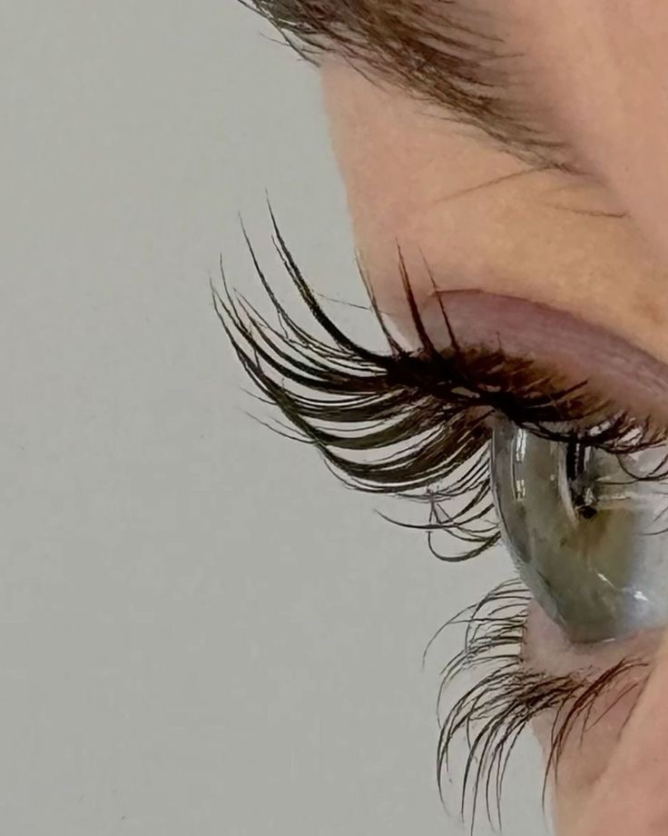 Lash Lift + Tint