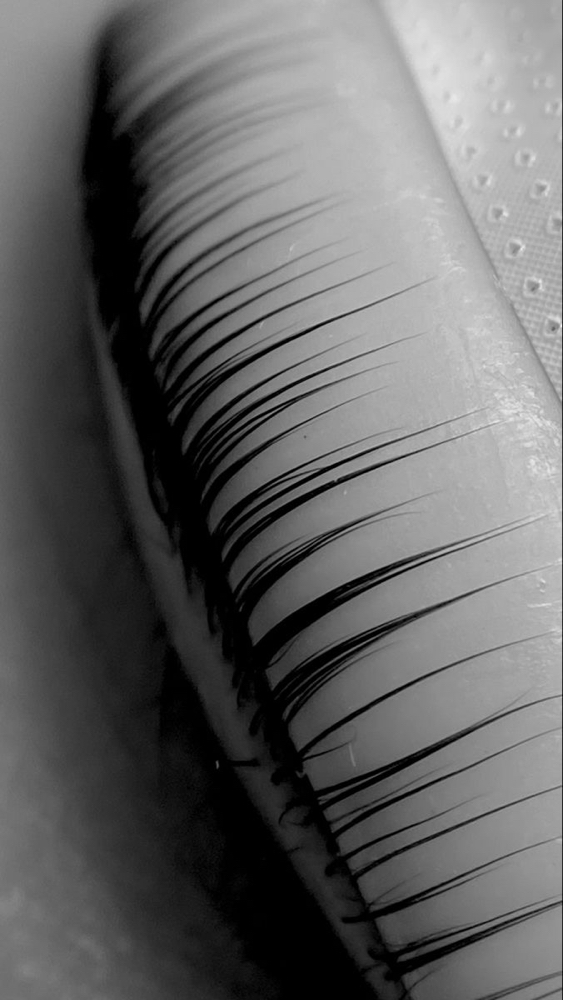 Lash Lift + Tint