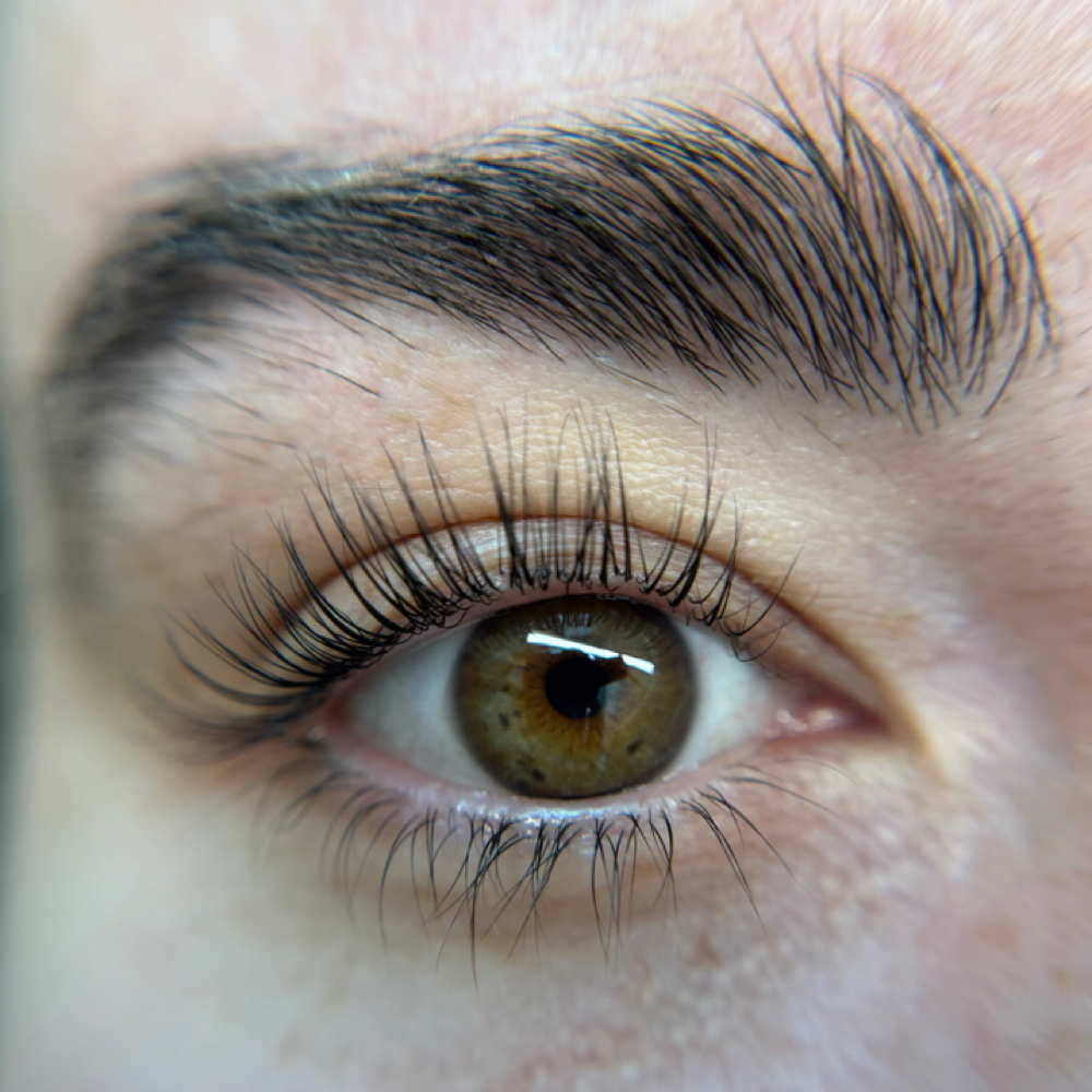 Korean Lash Lift + Tint