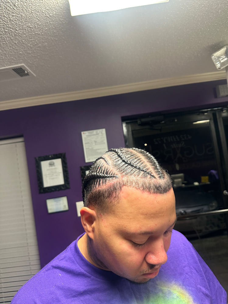 Cornrow Braids at Naturalist CP in Collierville, TN