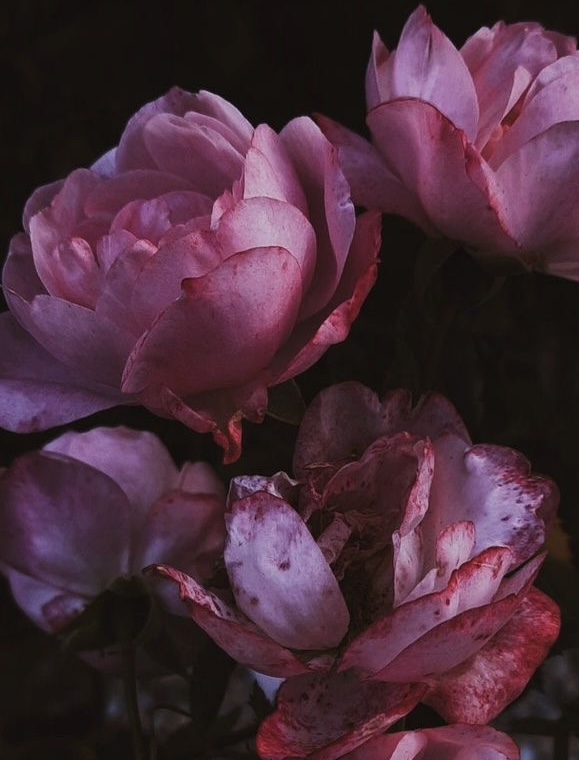 The "No Downtime" Peel at Kyrie Cecil Esthetics in Tucson, AZ