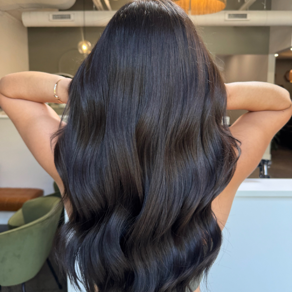 All Over Color + Haircut at .A. Blooming Beauty in Albany, NY