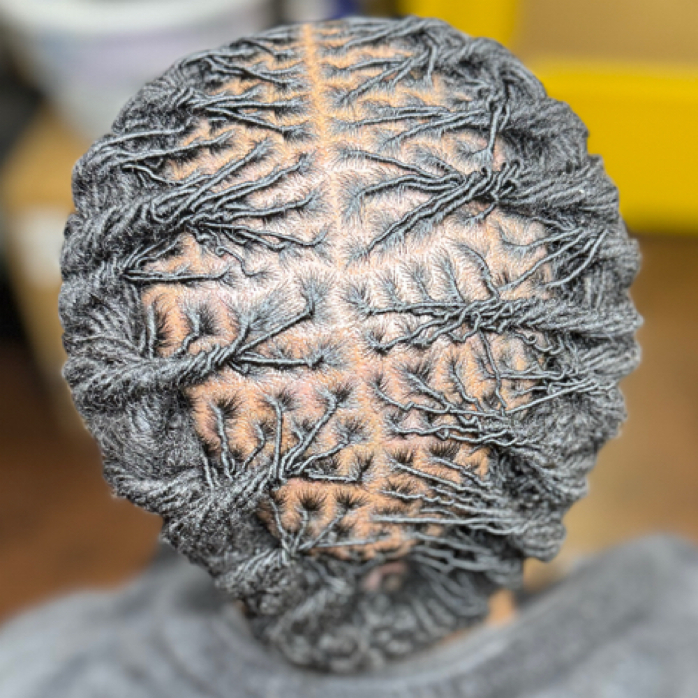 Micro Locs at Touched By Tea in Madison, WI