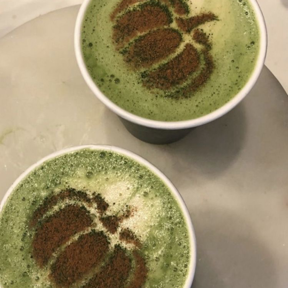 Pumpkin Matcha Glow at Sonoran Skin Studio in Tucson, AZ
