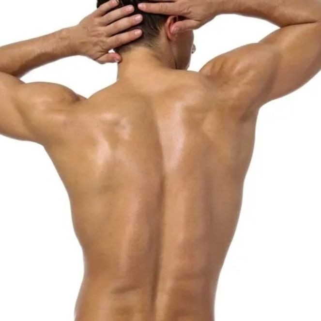 Full Back