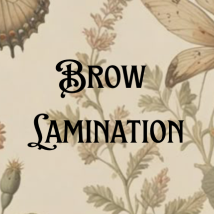 Effortless Brow Lamination at Blossom & Thorn Beauty Bar in Indianapolis, IN