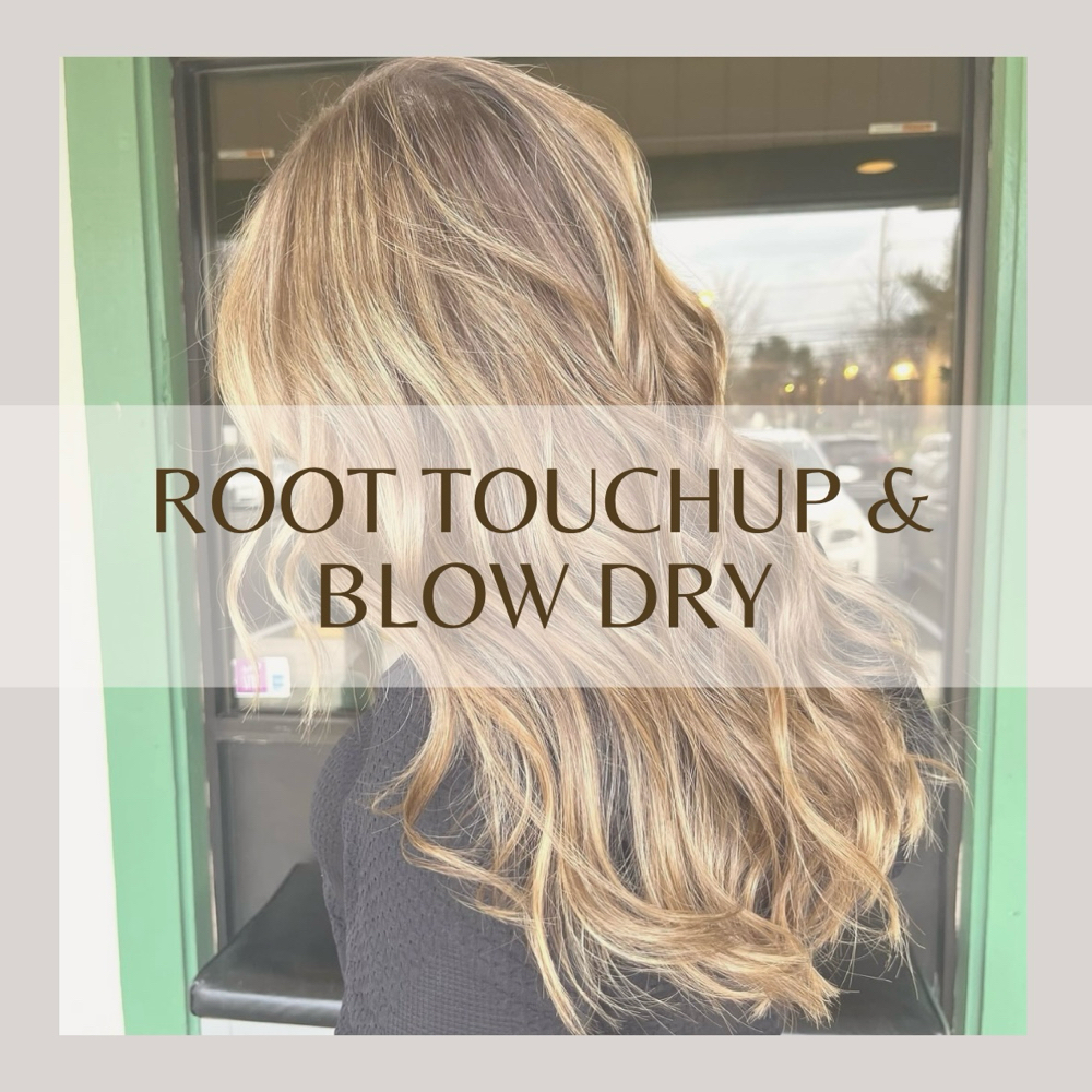 Touchup & Blow Dry (Level 2)