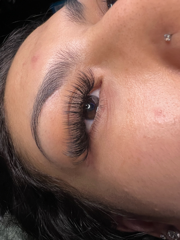 Volume Lash Fill