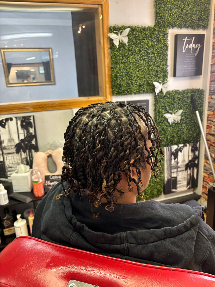 Two Strand Twists