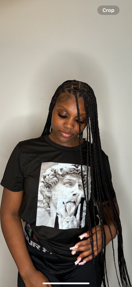 Small Knotless Box Braids