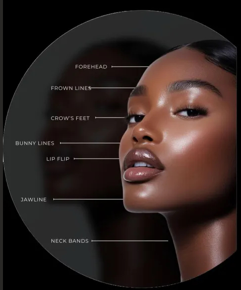 Package 3: Perfect Profile