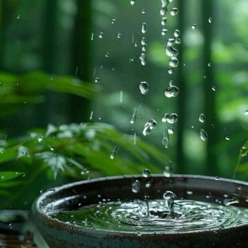 Alpha-Beta Peel (Mild & Effective) at Sculpt Beauty MD in Columbia, MD