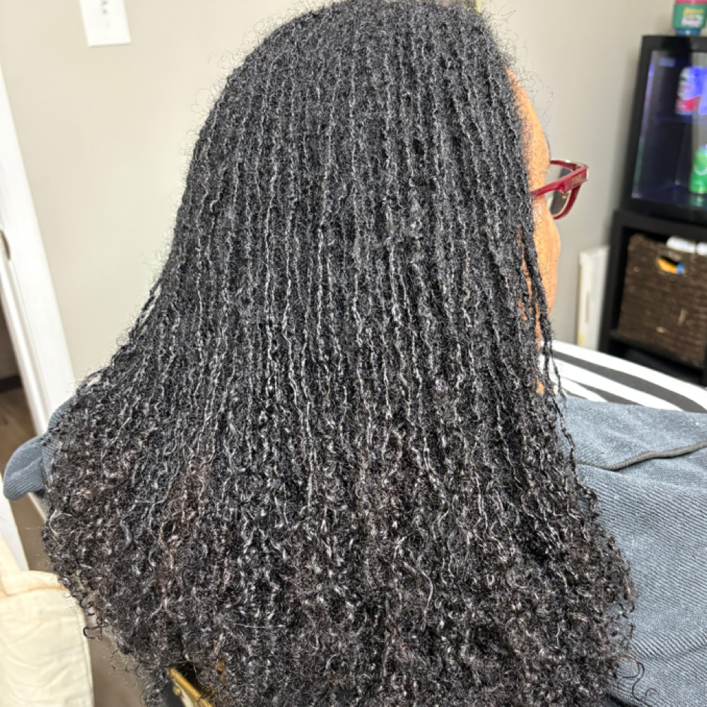 Sisterlock Transfer Retie/Consult at PlantyLocs in Williamsburg, VA