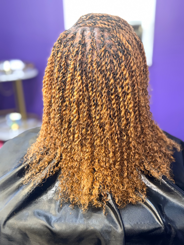 Mini 2-strand Twists W/extensions at Anointed Hands in Southaven, MS