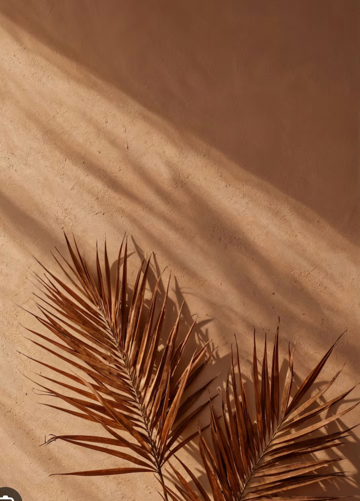 Ombre Powder Brow Training