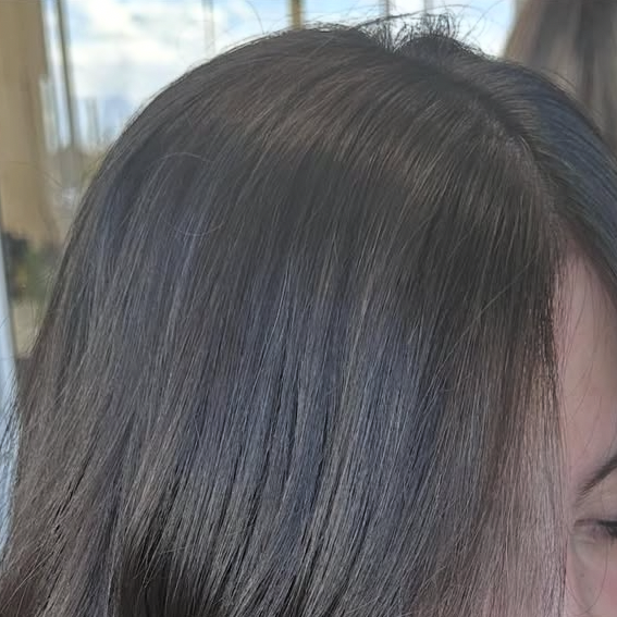 COLOR RETOUCH at Firefly Hair Company LLC in CENTENNIAL, CO