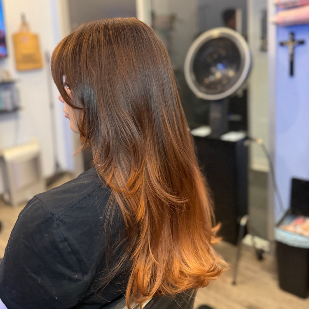 All Over Color + Hairline Foil +Cut at Hidden Beauty Studios in Charlotte, NC