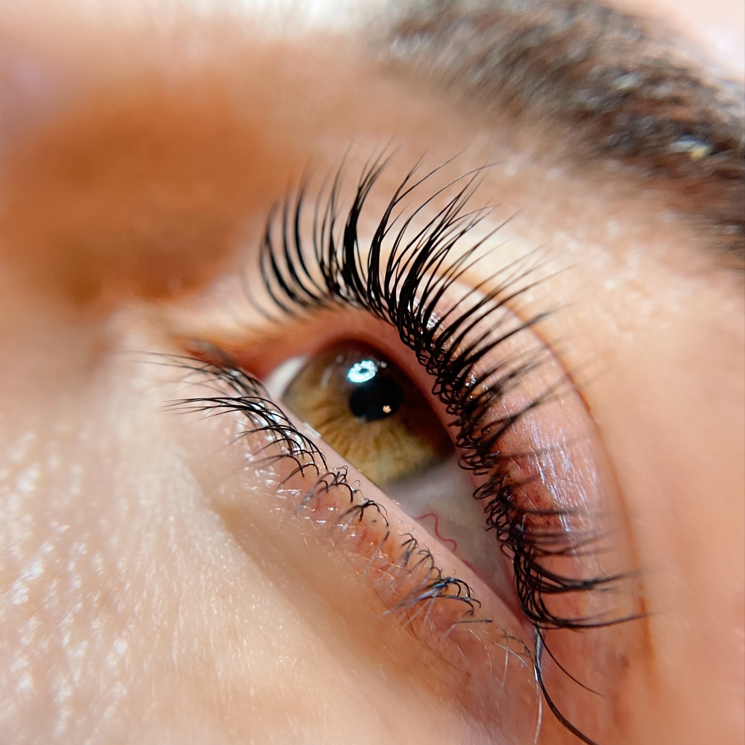 Classic Lash Lift + Tint at Rose & Balance Skin Studio in San Diego, CA