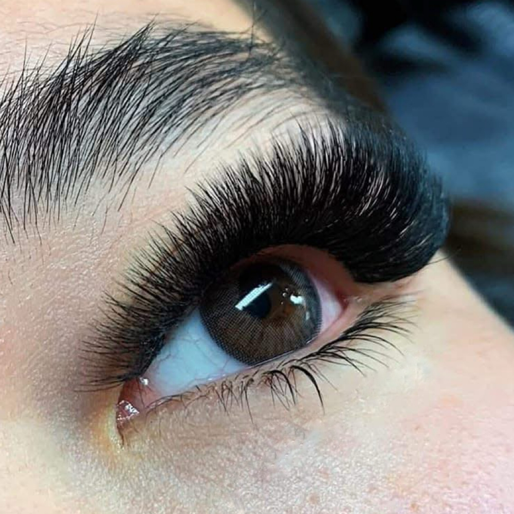 Volume | 2 Week Fill at Lux Lash and Brow in Mansfield, TX