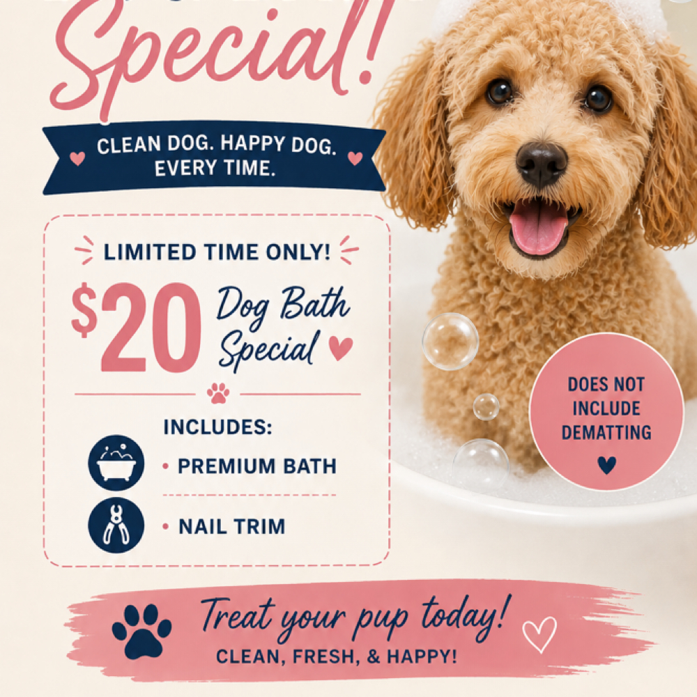 Bath Special at Lexury Grooming in Maple Hts, OH