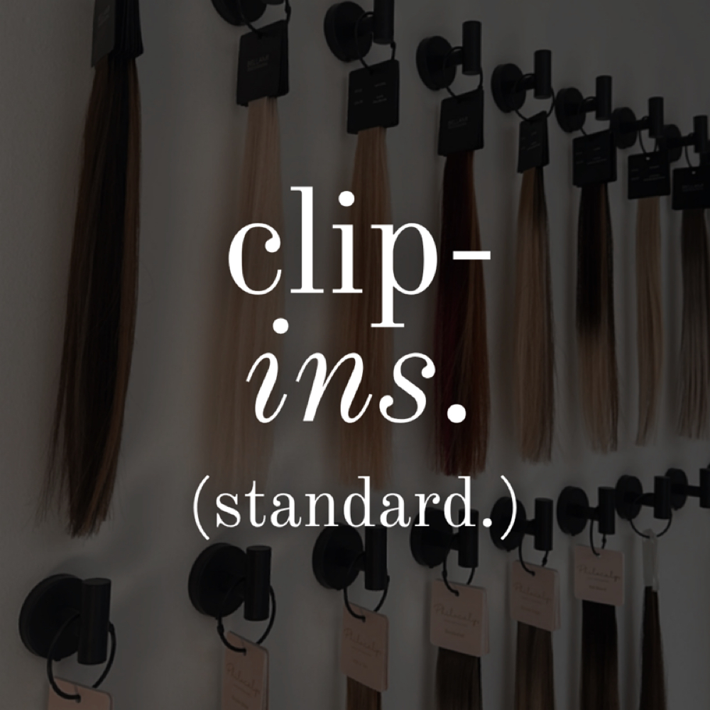Standard | Clip-in Consultation at The Blonde Boheme in Rochester, NY
