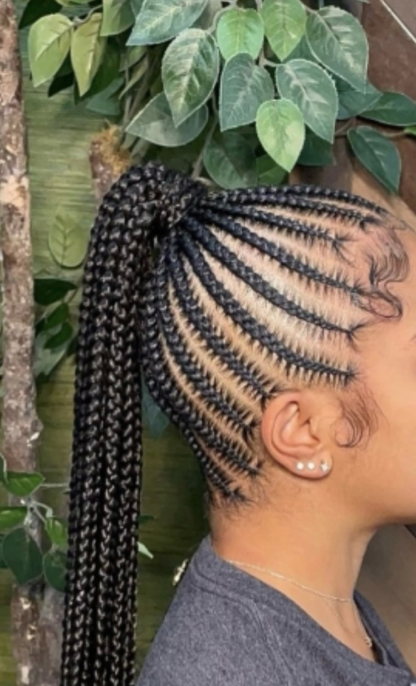 Braided Updo