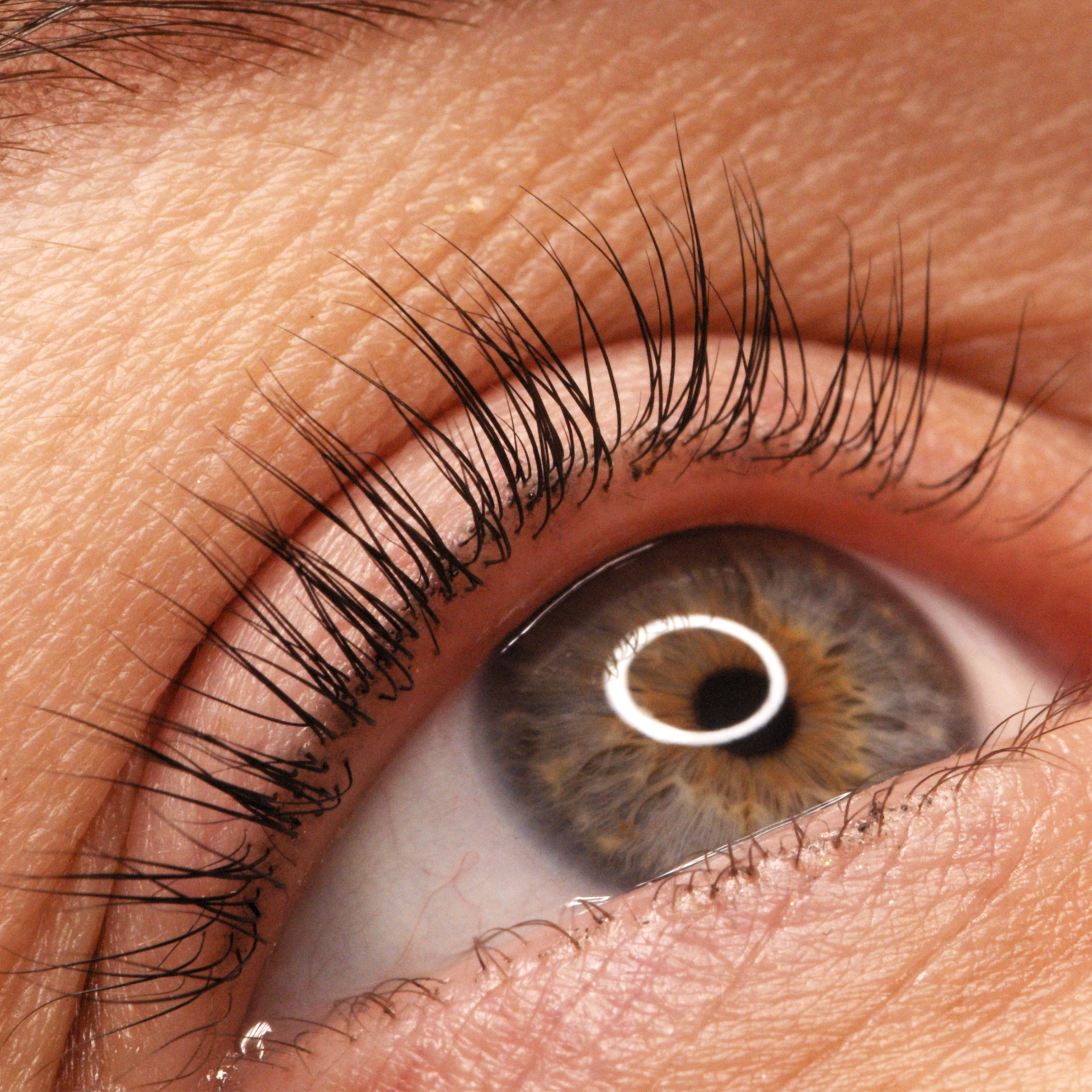 Lash Lift at The Angelic SKN in Temple, TX
