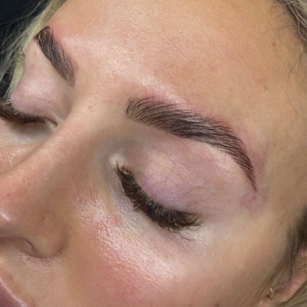 Brow Lamination at Habit Lash Artistry in Sarasota, FL